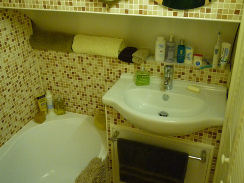 Main cabin 
bathroom